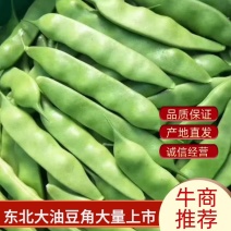 豆角【精品】油豆角大量上市，货源充足，可代发全国各地