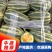 【博洋系列】精品博洋九一甜大量上市现摘现发欢迎采购