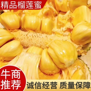 海南热带水果尖蜜拉榴莲蜜产地直发质量保证欢迎选购