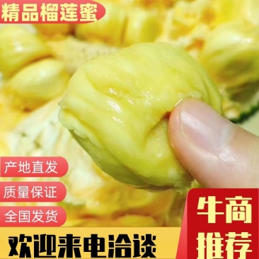 【牛商推荐】榴莲蜜，产地直供，质量保证，欢迎来电