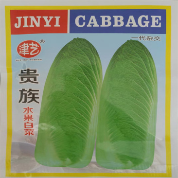日本绍菜种子贵族水果白菜种子龙牙白菜种子高产改良
