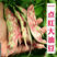 东北油豆角种籽种子一点红架豆高产油豆蔬菜孑扁豆大宽四季芸