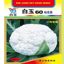 神良白玉60.65.88松花菜种子白玉矮脚88花菜种子青