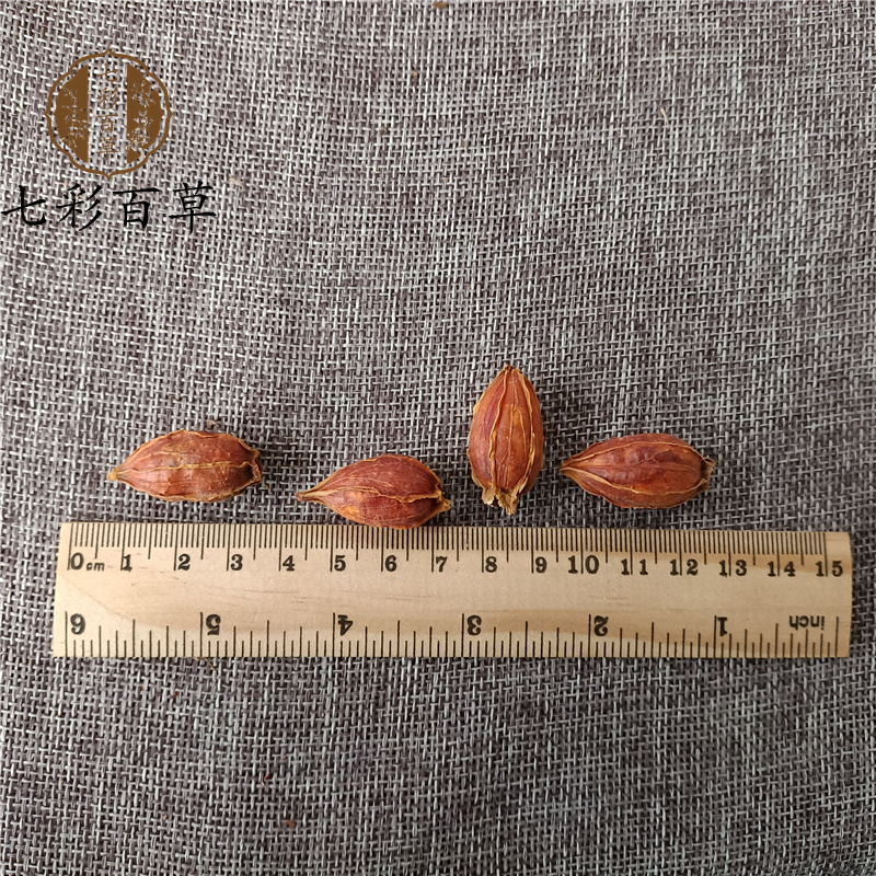 红栀子福建大栀子山东七彩百草中药材批发多种规格