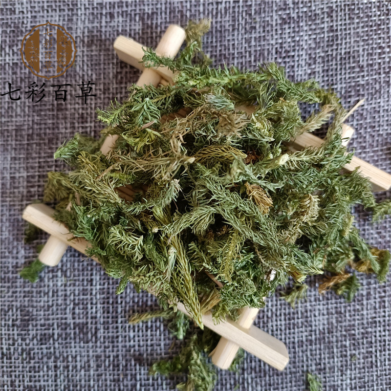 伸筋草山东七彩百草中药材批发多种规格产地供应