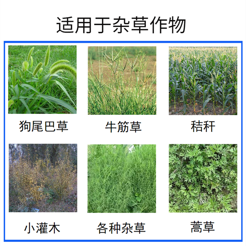 果树碎草还田机用途果园农田杂草辣椒杆粉碎机