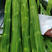 尖叶先锋莴笋种子肉青皮嫩绿质脆香味浓耐高温不易抽苔茎粗