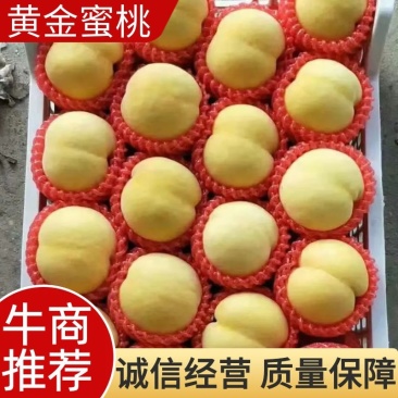 黄金蟠7=7，黄蟠33=6。黄金蟠11，黄金蜜。黄金秀。