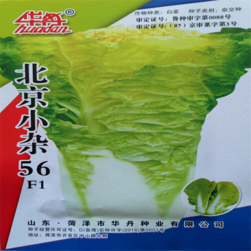 北京小杂56白菜种子黄心小白菜种子耐热抗病四季高产散籽