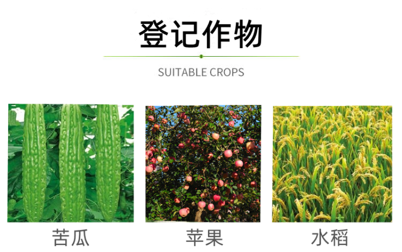 七洲曲文欣43%戊唑醇水果蔬菜白粉病斑点落叶病稻曲病农药