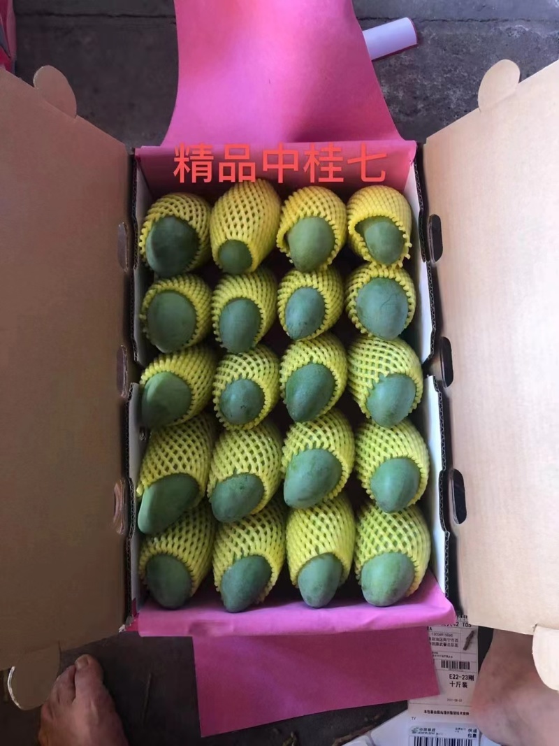 精品芒果桂七台农芒果产地直销视频看货品质保证