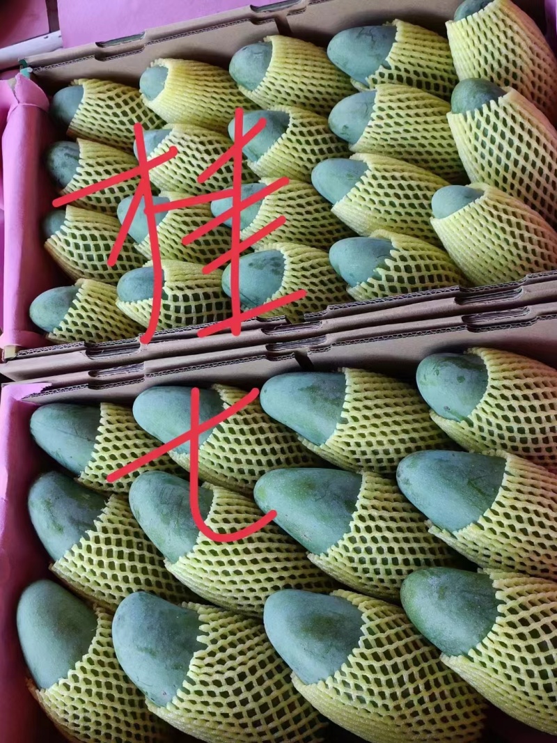 精品芒果桂七台农芒果产地直销视频看货品质保证