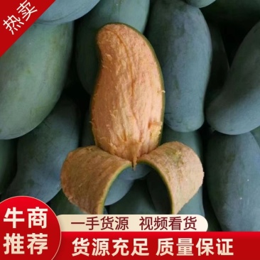 精品芒果桂七台农芒果产地直销视频看货品质保证