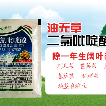 瑞邦75%二氯吡啶酸油菜田除草剂专除刺儿菜苣荬菜鬼针草