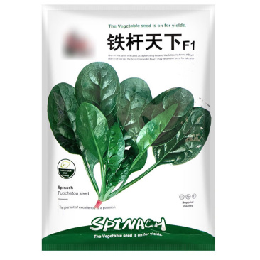 铁杆天下直立圆叶菠菜种子抗热性耐抽苔高产基地专用
