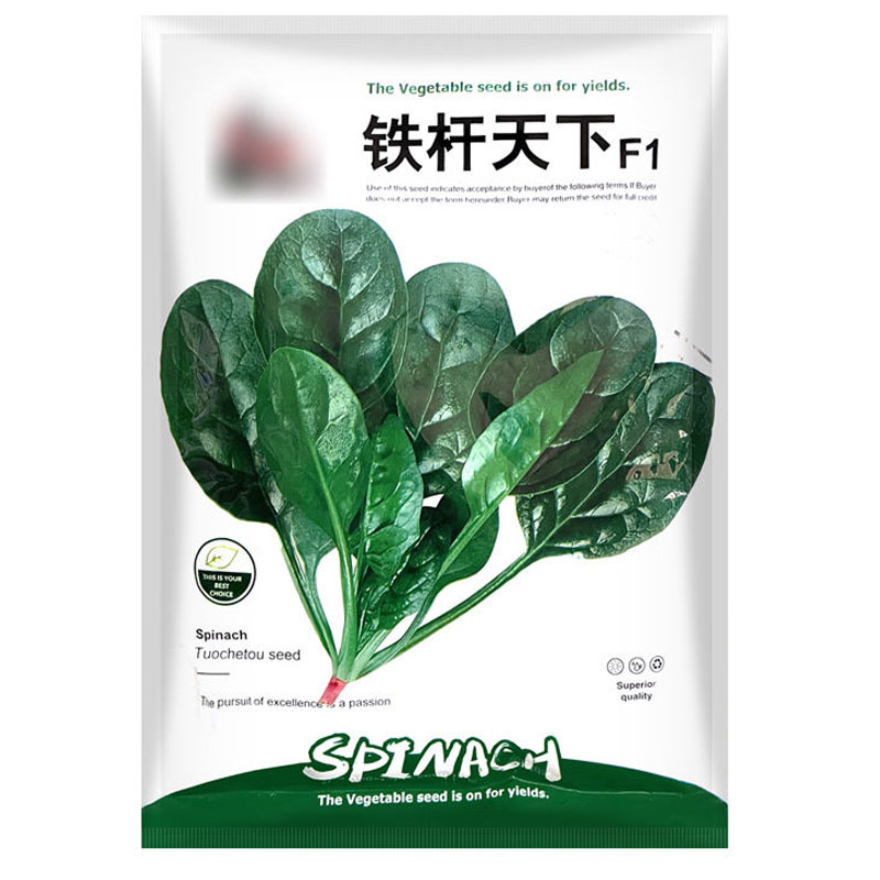 铁杆天下直立圆叶菠菜种子抗热性耐抽苔高产基地专用