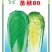 圣秋80大白菜种子寿光蔬菜山东秋白菜种籽高产秋冬季农科院
