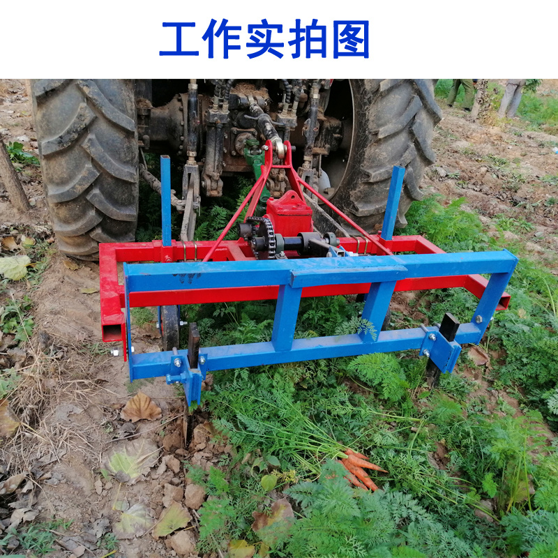 四轮拖拉机带胡萝卜收获犁传动轴款胡萝卜红薯收获机