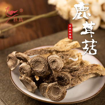 鹿茸菇杜鹃厂家批发福建古田精选本色切根鹿茸菌产地直发