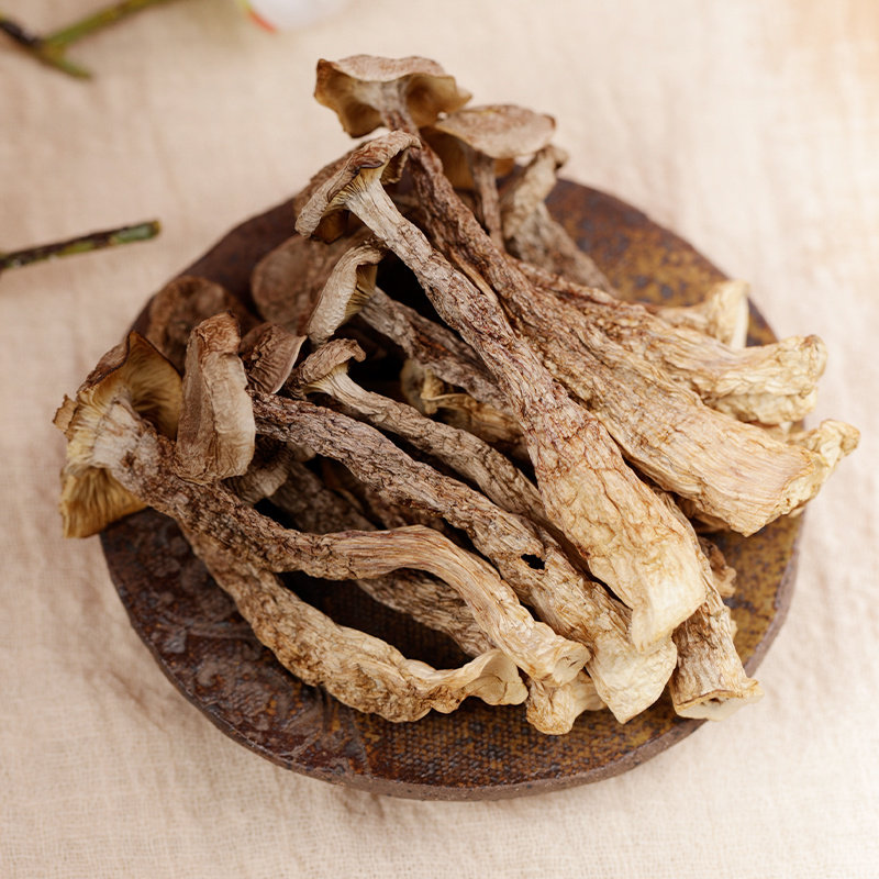 鹿茸菇杜鹃厂家批发福建古田精选本色切根鹿茸菌产地直发