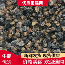 田螺田螺肉，湖北潜江清水田螺，肉质鲜嫩可口，大量供应