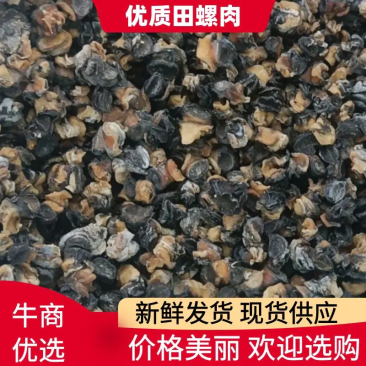 田螺田螺肉，湖北潜江清水田螺，肉质鲜嫩可口，大量供应