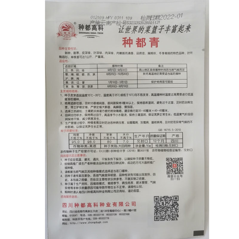 种都青绿莴笋种子耐寒椭圆形四季均可种植