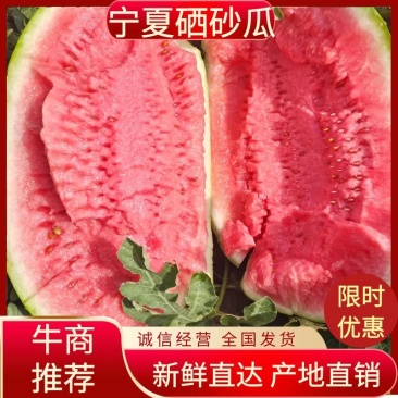 【精选】宁夏硒砂瓜甜度高水分足品质保证代发全国荐