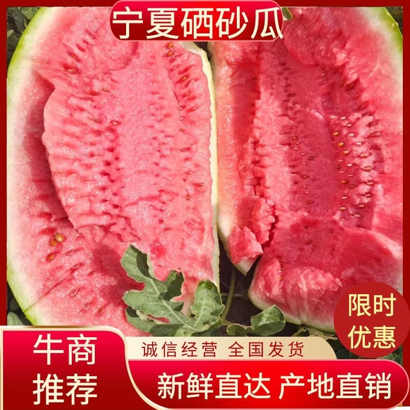 【精选】宁夏硒砂瓜甜度高水分足品质保证代发全国荐