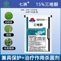 七洲15%三唑酮小麦白粉病锈病玉米丝黑穗病杀菌剂