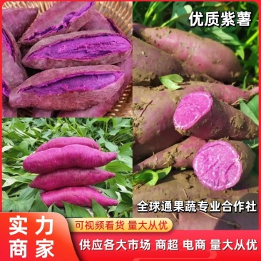 【推荐】紫薯湖北紫罗兰现挖现发可视频看货咨询有优惠