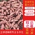 【实力商家】红薯龙薯龙九湖北正宗龙薯现挖现发可实地看货