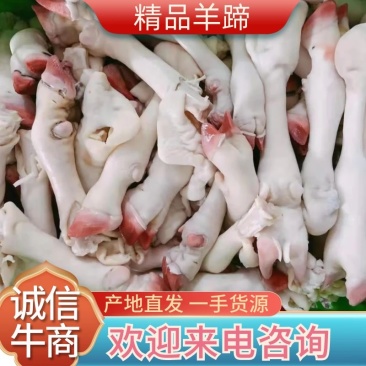 精品羊蹄，货源稳定，物美价优，质量可保，全国可发