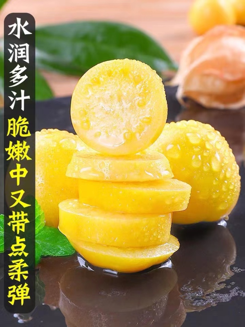 黄菇娘包邮一件代发，对接商超一手货源品质保证