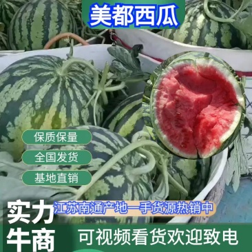 精品美都西瓜皮薄汁甜视频看货质量保证诚信经营等您来电