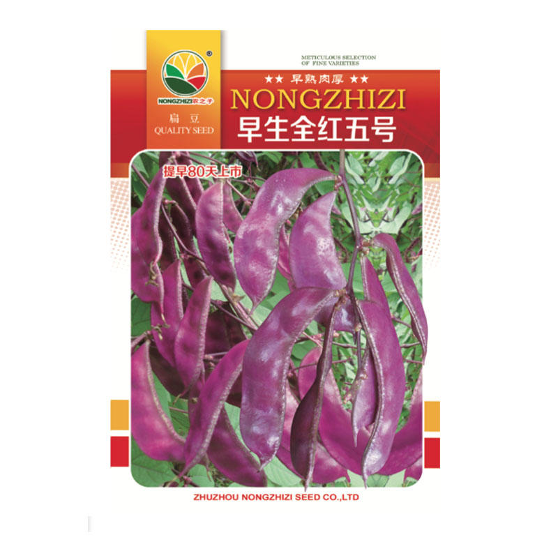 摘不败红眉豆种子早熟肉厚高产豆角紫扁豆种早熟传统品种