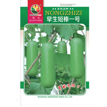 瓠瓜种子早熟短瓠子抗病强高产菜葫芦春秋种植