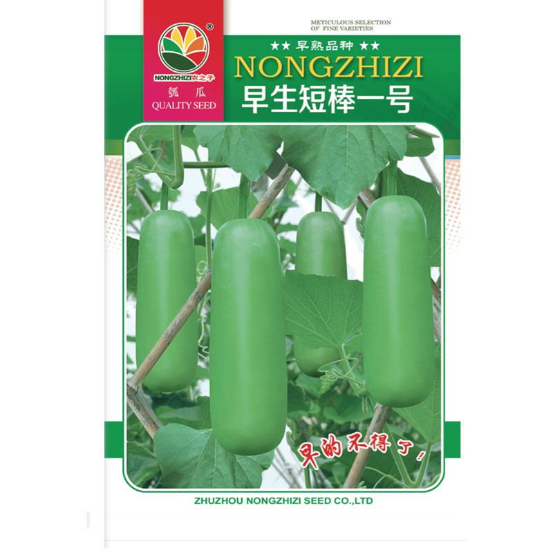 瓠瓜种子早熟短瓠子抗病强高产菜葫芦春秋种植
