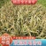 【牛商推荐】金边麦冬，基地直发，质量保证，欢迎来电