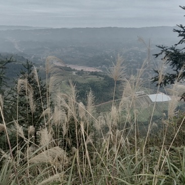 重庆巴南二圣镇中坪村3000亩荒地林地，