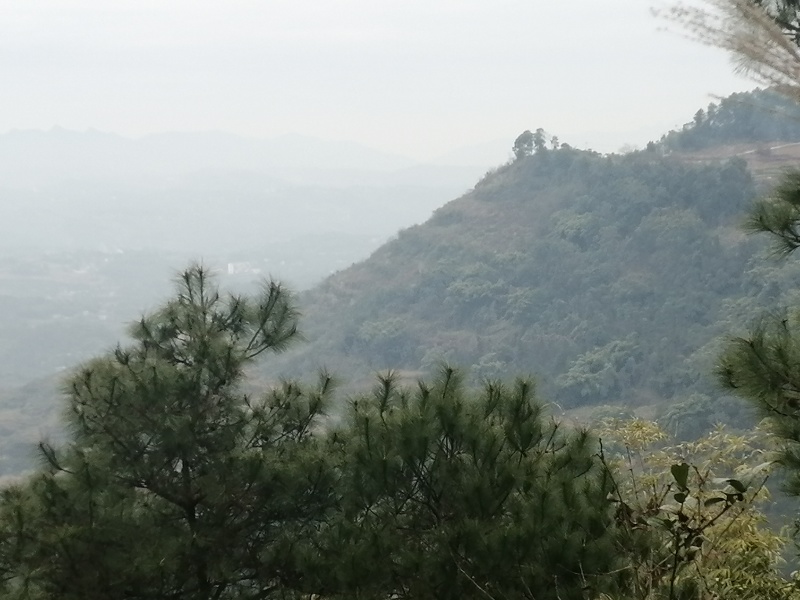 重庆巴南二圣镇中坪村3000亩荒地林地，