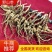 鲜参保鲜人参保证质量量大从优活性成分高吸收好