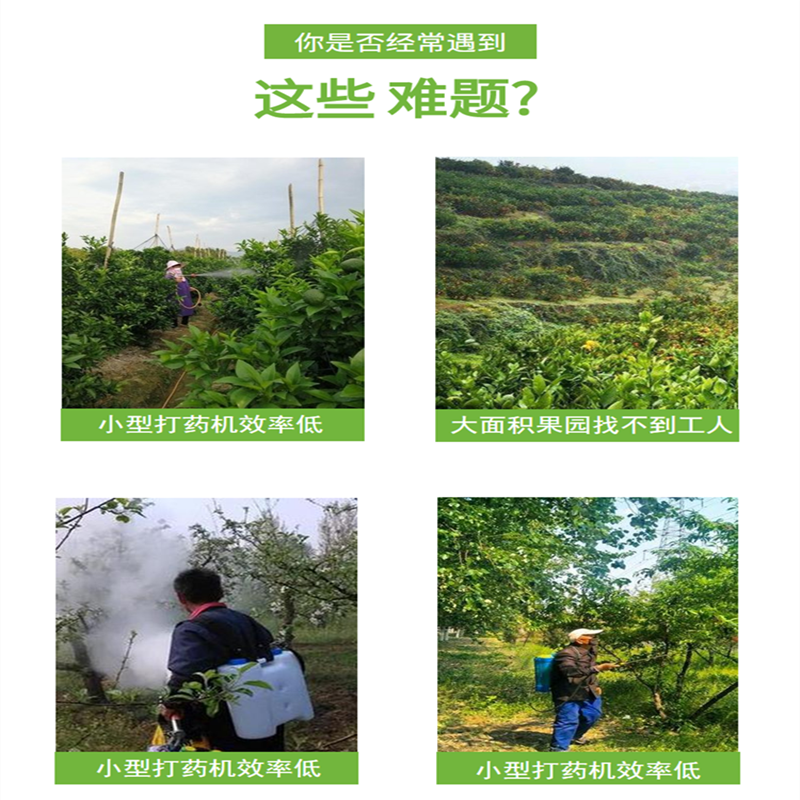 双汽油葡萄园打药机折叠杆下喷打药车自走式喷药机