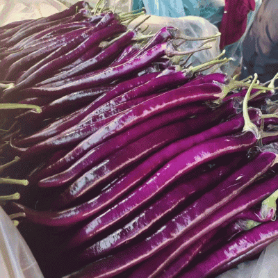 优选茄子🍆烧烤茄🍆红线茄🍆红金刚756🍆代发全国
