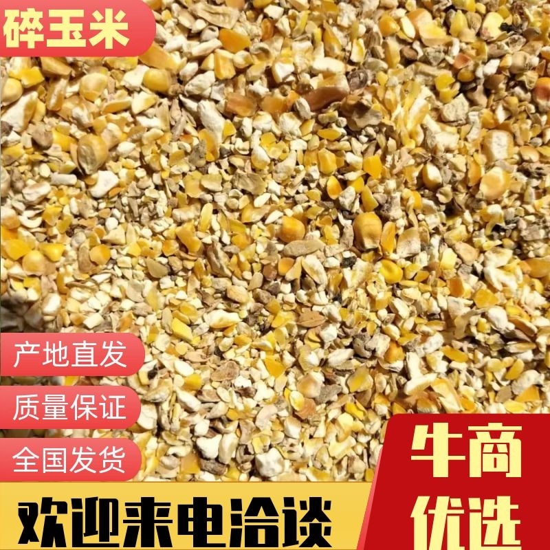 现货直发鸡鸭鹅禽类能量饲料原料碎玉米净粮