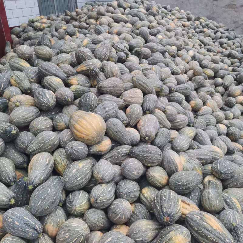 【货源充足】南阳精品花生南瓜大量上市，产地直发量大从优
