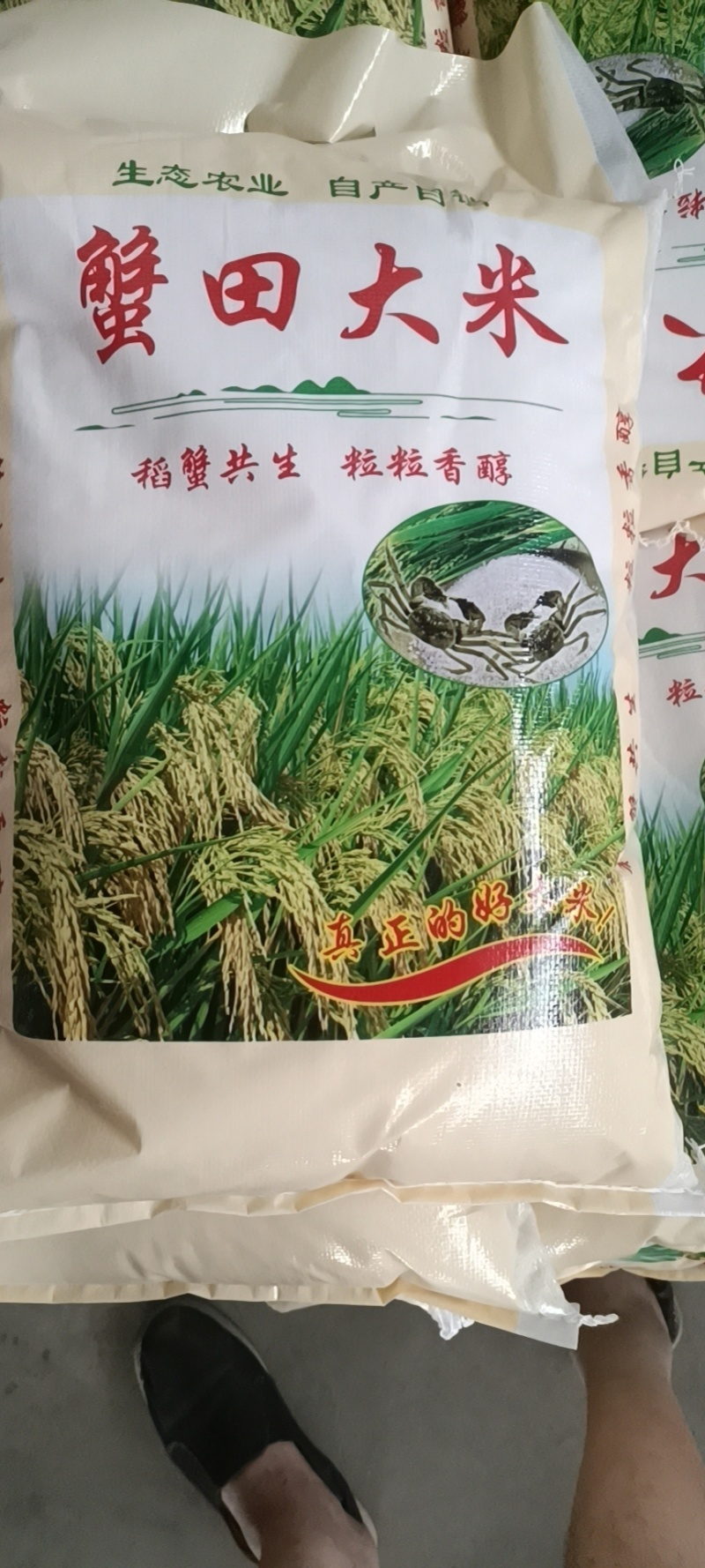 清水大米蟹田大米产地直直发物美价廉欢迎各位老板合作