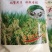 E28新米上市，清香软糯，自产自销，欢迎进店联系
