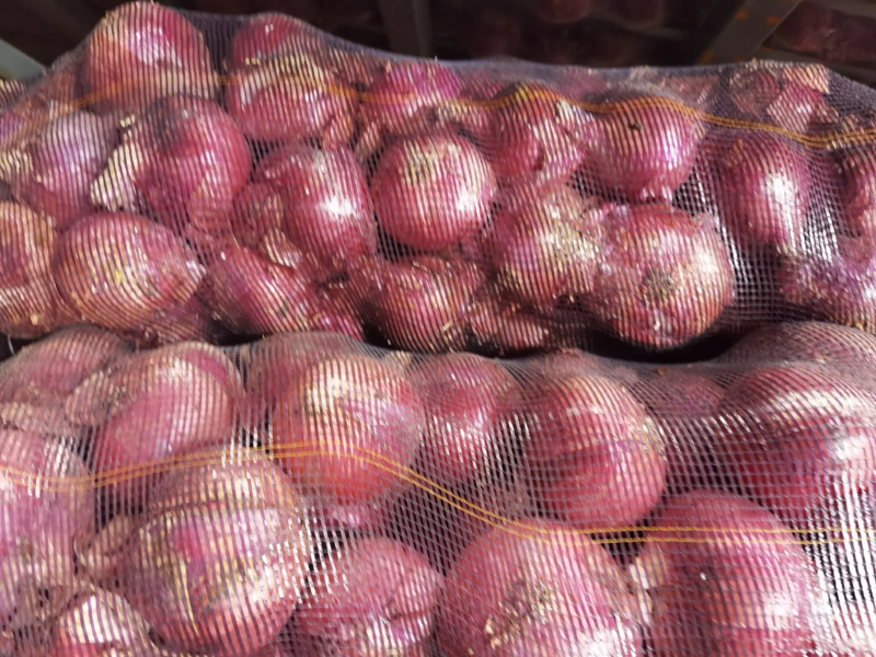 春节正常发货紫皮洋葱货源充足稳定质优价廉诚信经营