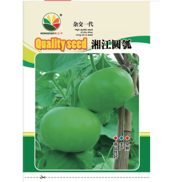 苹果瓠瓜种籽短瓠瓜种子菜葫芦小瓠子早熟抗病强